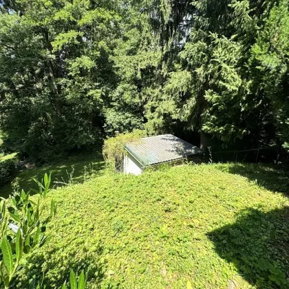 Potenzialreiches Bauträgergrundstück mit bis zu 6 Wohneinheiten im Wiener Speckgürtel - Bild 2