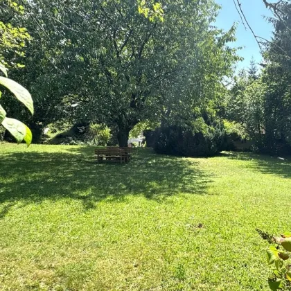 Bezauberndes, rechteckiges Grundstück fürs Eigenheim im begehrten „Speckgürtel“ von  Wien - Bild 2