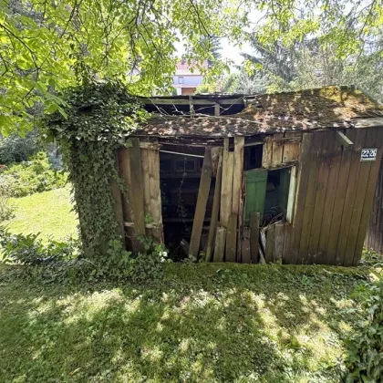 Bezauberndes, rechteckiges Grundstück fürs Eigenheim im begehrten „Speckgürtel“ von  Wien - Bild 3