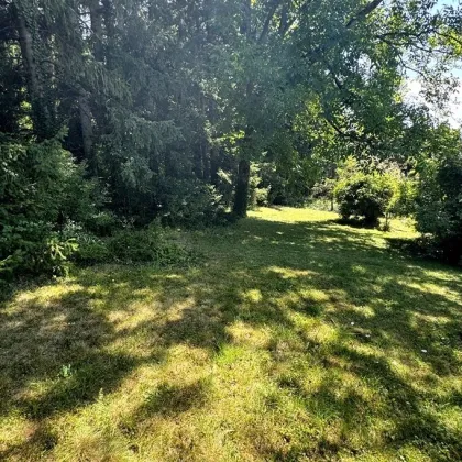 Natur. Ruhe. Zuhause. Sonniges, rechteckiges Grundstück fürs Eigenheim am Stadtrand von Wien - Bild 3