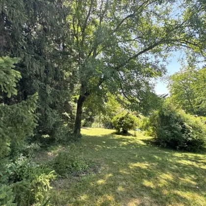 Natur. Ruhe. Zuhause. Sonniges, rechteckiges Grundstück fürs Eigenheim am Stadtrand von Wien - Bild 2