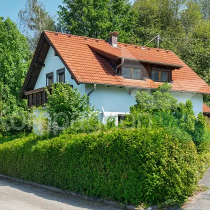 Einmalige Gelegenheit am Magdalensee mit Keller - Bild 2