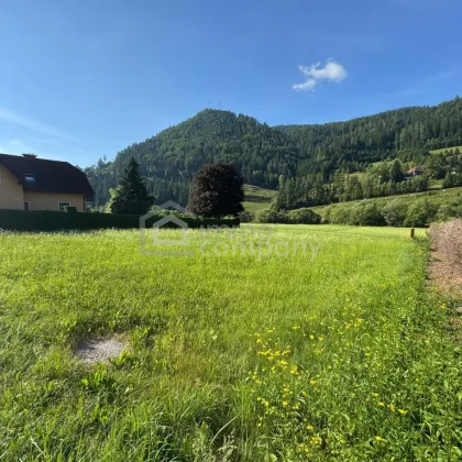 Baugrundstück mit Bergpanorama in St. Kathrein an der Laming – 1.070 m² - Bild 3