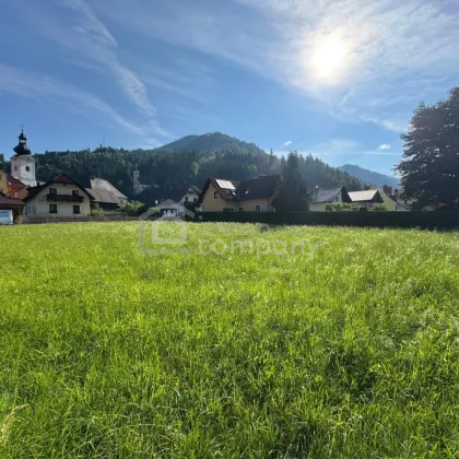 Baugrundstück mit Bergpanorama in St. Kathrein an der Laming – 1.070 m² - Bild 2