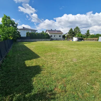 Grünes Paradies für Gartenfreunde – 660 m² Wiese zu vermieten! - Bild 3