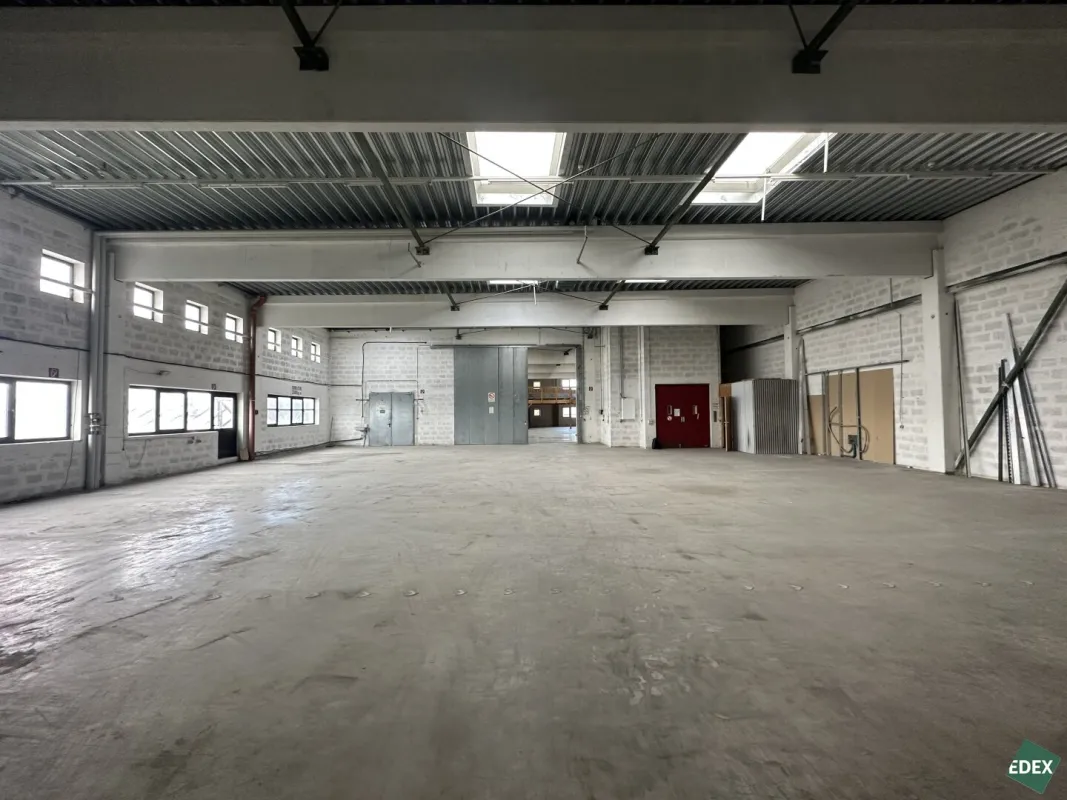 Großzügige Lagerhalle samt Büro - Bild 1
