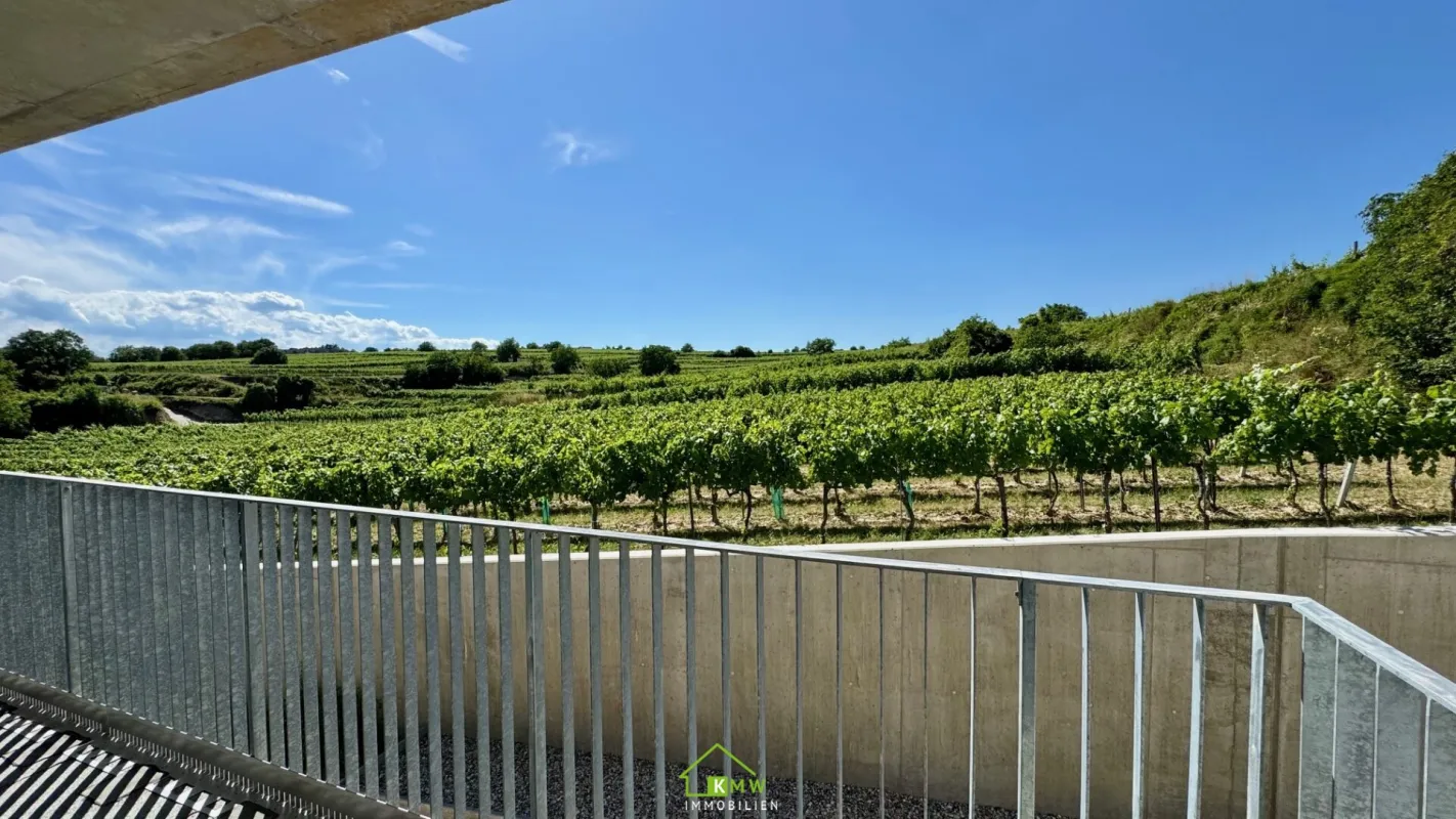 Aussichtslage Top 8: Weingartenblick - 3 Zimmer Eigentumswohnung mit Terrasse - Bild 1