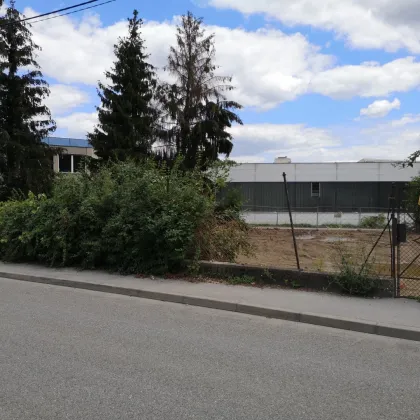 Großes Gewerbegrundstück in zentraler Lage  - Steinfeldgasse - Bild 2