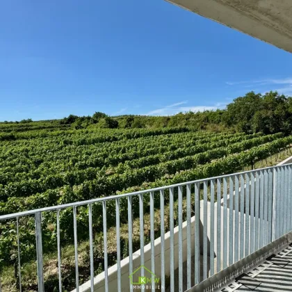 Aussichtslage Top 10: Stadt- und Weingartenblick - 4 Zimmer Eigentumswohnung mit Terrasse - Bild 2