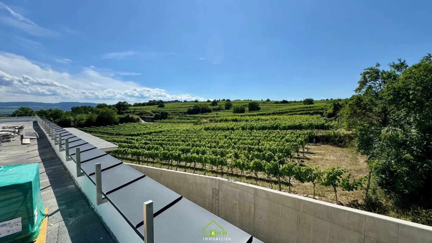 Aussichtslage Top 11: Weingartenblick - Luxuriöse 4 Zimmer Dachgeschosswohnung mit herrlicher Terrasse - Bild 1