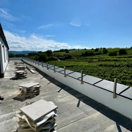 Aussichtslage Top 11: Weingartenblick - Luxuriöse 4 Zimmer Dachgeschosswohnung mit herrlicher Terrasse - Bild 2