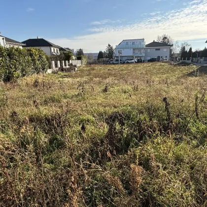 Zum Verkauf steht ein attraktives Baugrundstück in bester Lage von Groß-Enzersdorf. Mit einer Gesamtfläche von ca. 1.450 m². - Bild 2