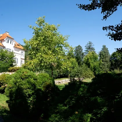 HISTORISCHE VILLA MIT EINZIGARTIGEM CHARME! Stilvolle Residenz in Ruhelage! - Bild 2