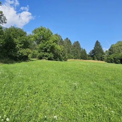 Aufgepasst 3 Grundstücke: Traumhafte Grundstücke - 8.740 m² zum Verwirklichen Ihrer Träume in Penk.! - Bild 3