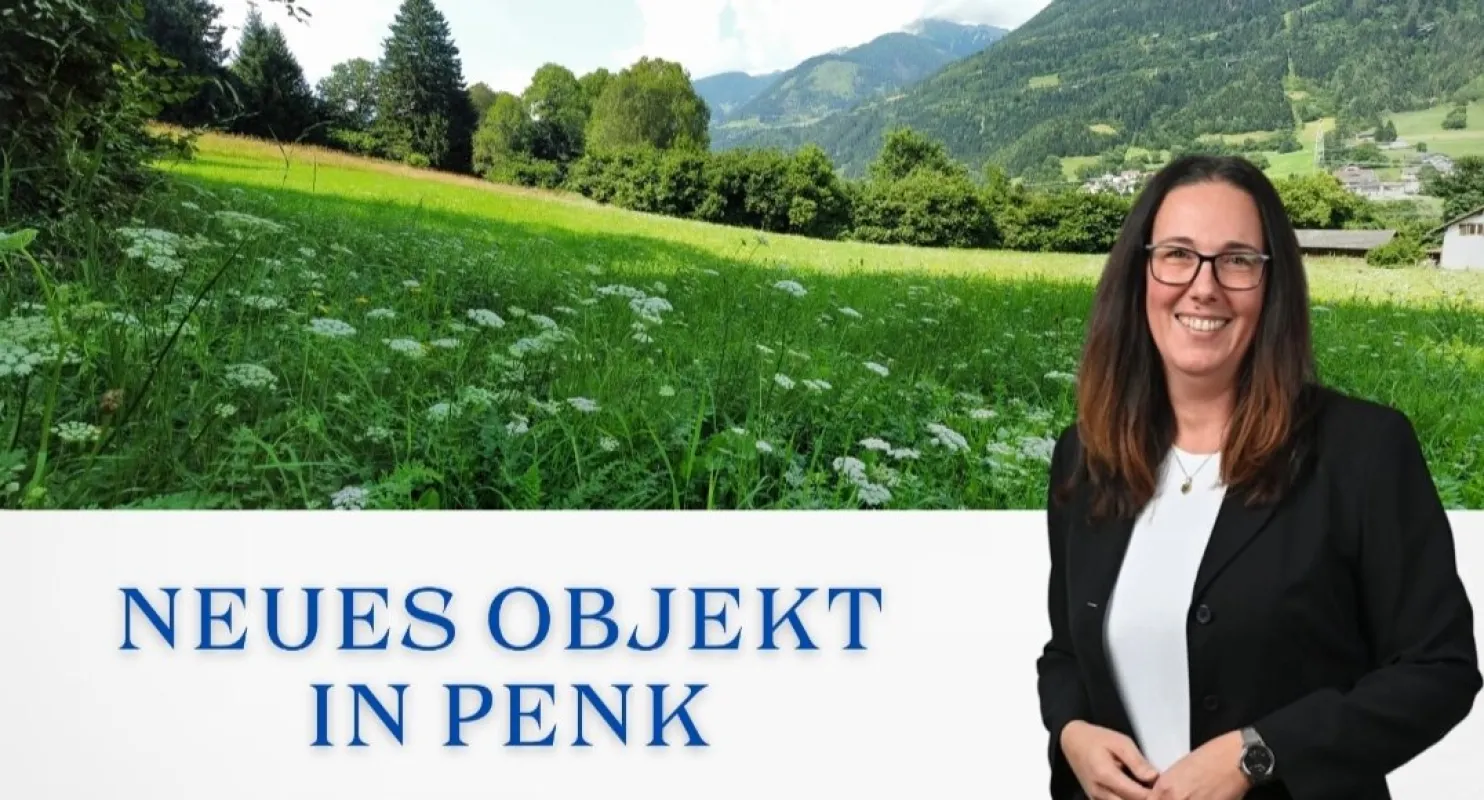 Aufgepasst 3 Grundstücke: Traumhafte Grundstücke - 8.740 m² zum Verwirklichen Ihrer Träume in Penk.! - Bild 1