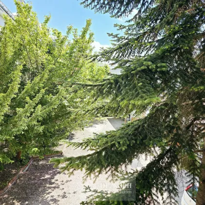 Rohdachboden mit Baubewilligung im Zentrum von Stockerau! KAUFPREIS in BITCOIN nur 1 BTC! - Bild 3