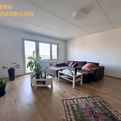 Charmante 2,5-Zimmer-Wohnung mit großzügiger Loggia in ruhiger Lage von Traiskirchen - Bild 2