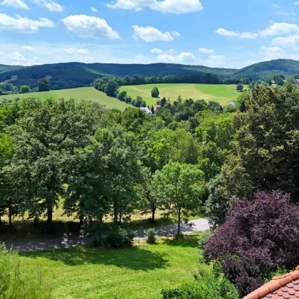 Repräsentative Traum-Villa in ruhiger Aussichtslage! Schwimmhalle, Sauna und Biotop - Bild 2