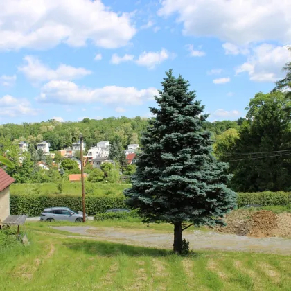 GRUNDSTÜCK MIT ALTBESTAND  IN GRAZER TOP-LAGE - PETERSBERGEN - ST.PETER - Bild 2