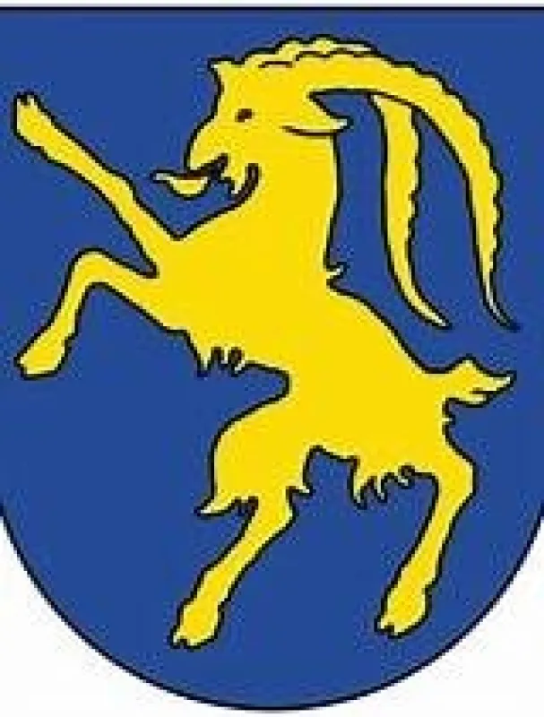 Preiswertes Grundstück mit Potential - Hohenems Reute - Bild 1