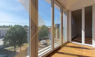 Gut aufgeteilte 2-Zimmer-Wohnung mit moderner Küche in Linz nähe WIFI zu vermieten! (Top 55)