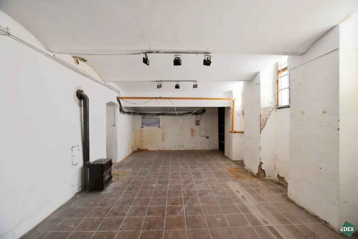 Großes Souterrain mit natürlicher Belichtung - Bild 1