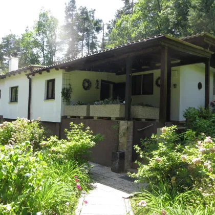 Wochenendhaus in Redlschlag bei Kirchschlag am Waldrand - Bild 2