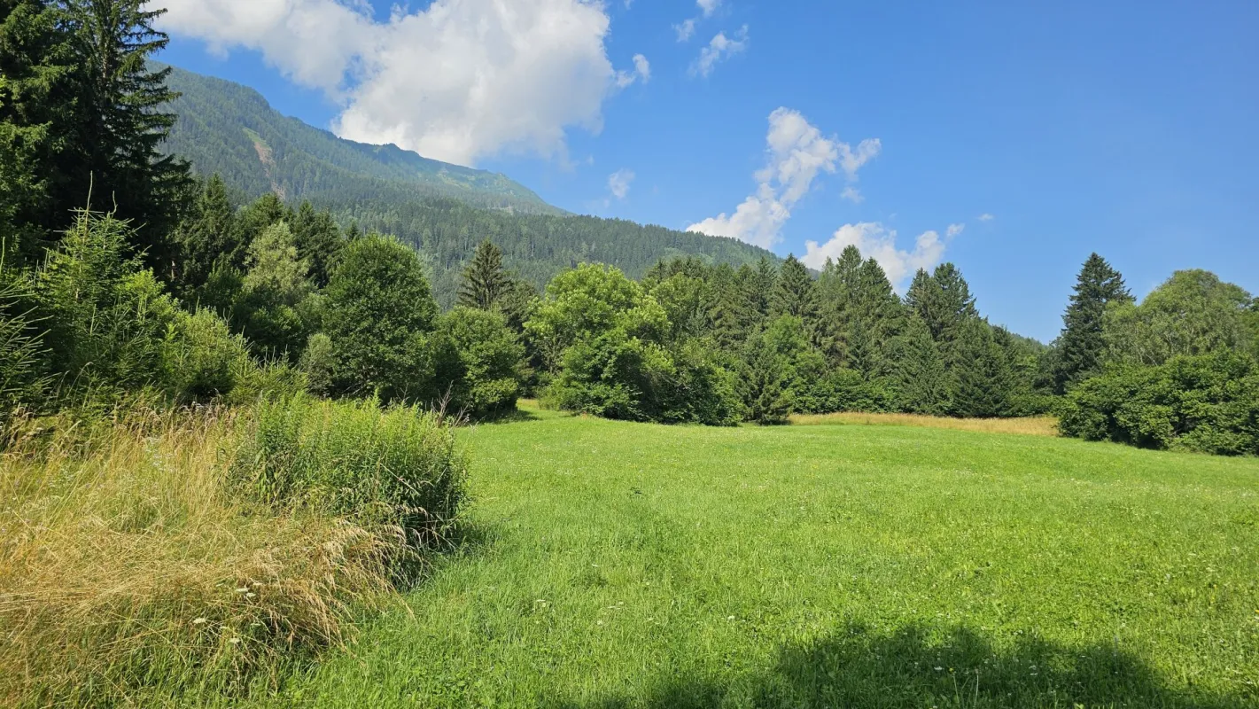 2 Grundstücke in Penk - Wohnen und Landwirtschaft vereinen. Idyllische Lage in Penk. - Bild 1