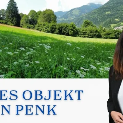 2 Grundstücke in Penk - Wohnen und Landwirtschaft vereinen. Idyllische Lage in Penk. - Bild 2