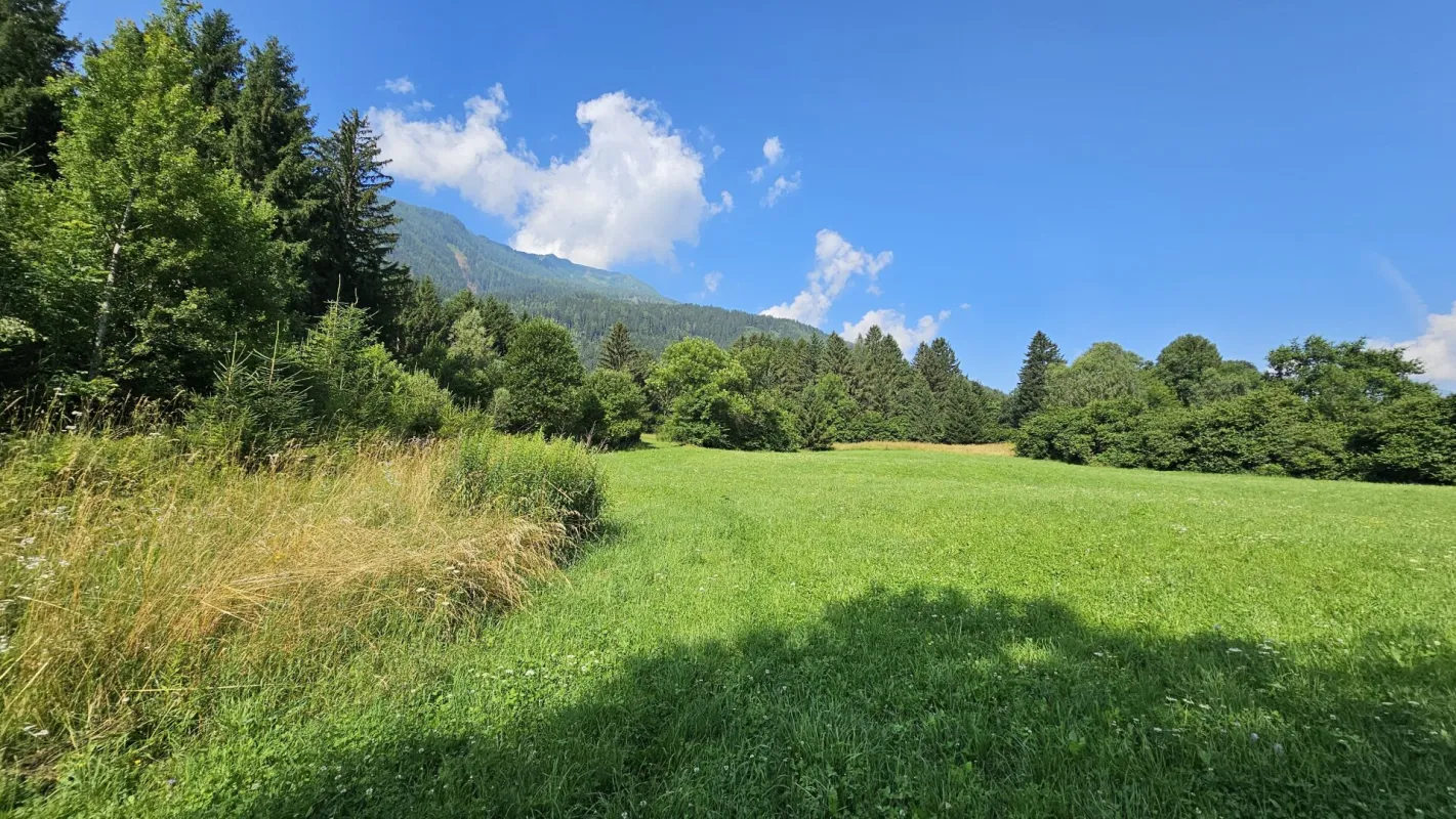 1 Grundstück - Ihr neues Zuhause in einer malerischen Lage in Penk. Ideal auch für Tierhaltung/Landwirtschaft. - Bild 1