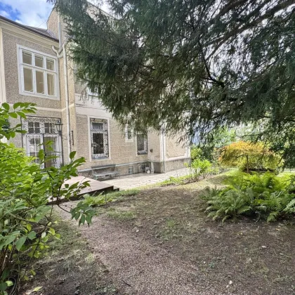 Villa im Türkenschanz Cottage - Bild 2