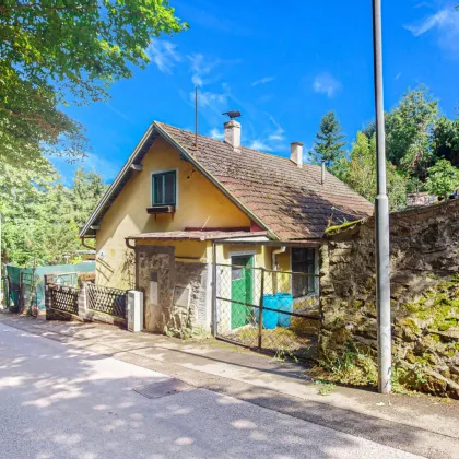 Investieren oder selbst gestalten in Hadersdorf-Weidlingau – Beste Grünlage im 14. Bezirk - Bild 3