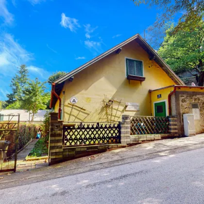 Investieren oder selbst gestalten in Hadersdorf-Weidlingau – Beste Grünlage im 14. Bezirk - Bild 2