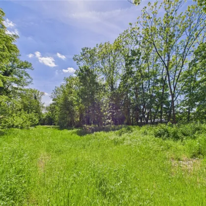 Exklusiver Bauplatz 4 - 504 m² - in NEUNKIRCHEN - Entwicklungsobjekt in Bestlage - Bild 3