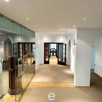 Villa Hohenfels - luxuriöses Flair in geschichtsträchtiger Villa im Herzen von Hietzing - Bild 3