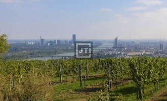 Familientraum - Exklusive Doppelhaushälfte im noblen 19.Wiener Gemeindebezirk