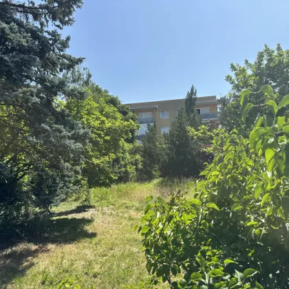 Traumhaftes 14-Zimmer-Haus in Linz – Ihr neues Zuhause auf 1157m² für 600.000 €! + 2 Baufenster!!! - Bild 3