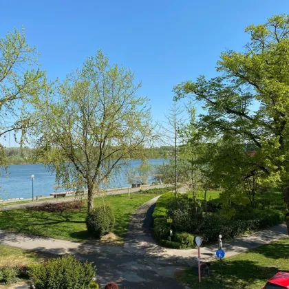 Wunderschöne Mietwohnung an der Donaulände in Tulln - Bild 3