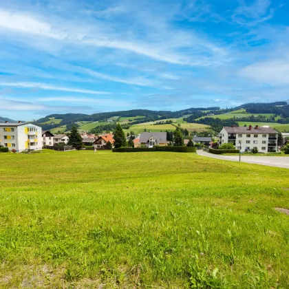Wohn-Baugrund: Großzügige Bebauungsdichte bis 0,5 mit Top-Infrastruktur in Obdach. - Bild 3