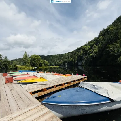 Kampfluss Residenz - Vision Nationalpark Kampwald - Bild 2