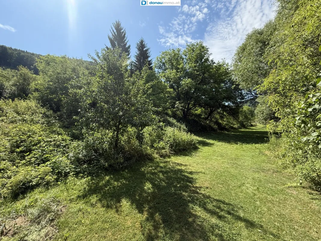 Kampfluss Residenz - Vision Nationalpark Kampwald - Bild 1