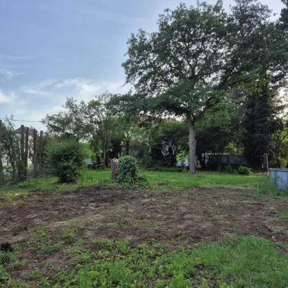 "Wohnen in ruhiger und grüner Siedlungslage"- Baugrundstück in sehr guter Lage - Bild 2