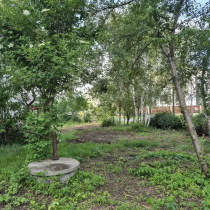 "Wohnen in ruhiger und grüner Siedlungslage"- Baugrundstück in sehr guter Lage - Bild 3