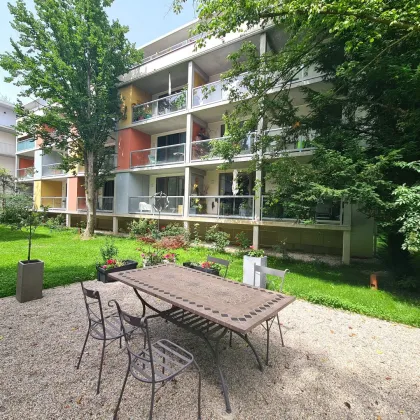 Exklusive 3-Zimmer Wohnung in Pitten! - Bild 2