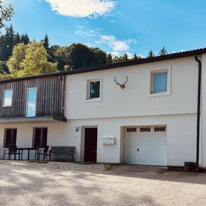 Sacherl in Alleinlage am Gmundnerberg mit 1200 m² BAULAND + saniertes Wohnhaus mit 4,2 ha Landwirtschaft - Bild 3