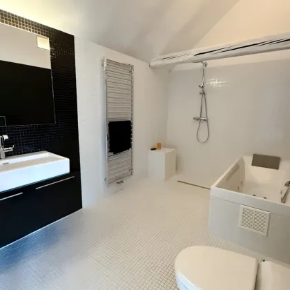 Modernes Wohn- und Atelierhaus mit 550 m² Wohnfläche - Bild 3