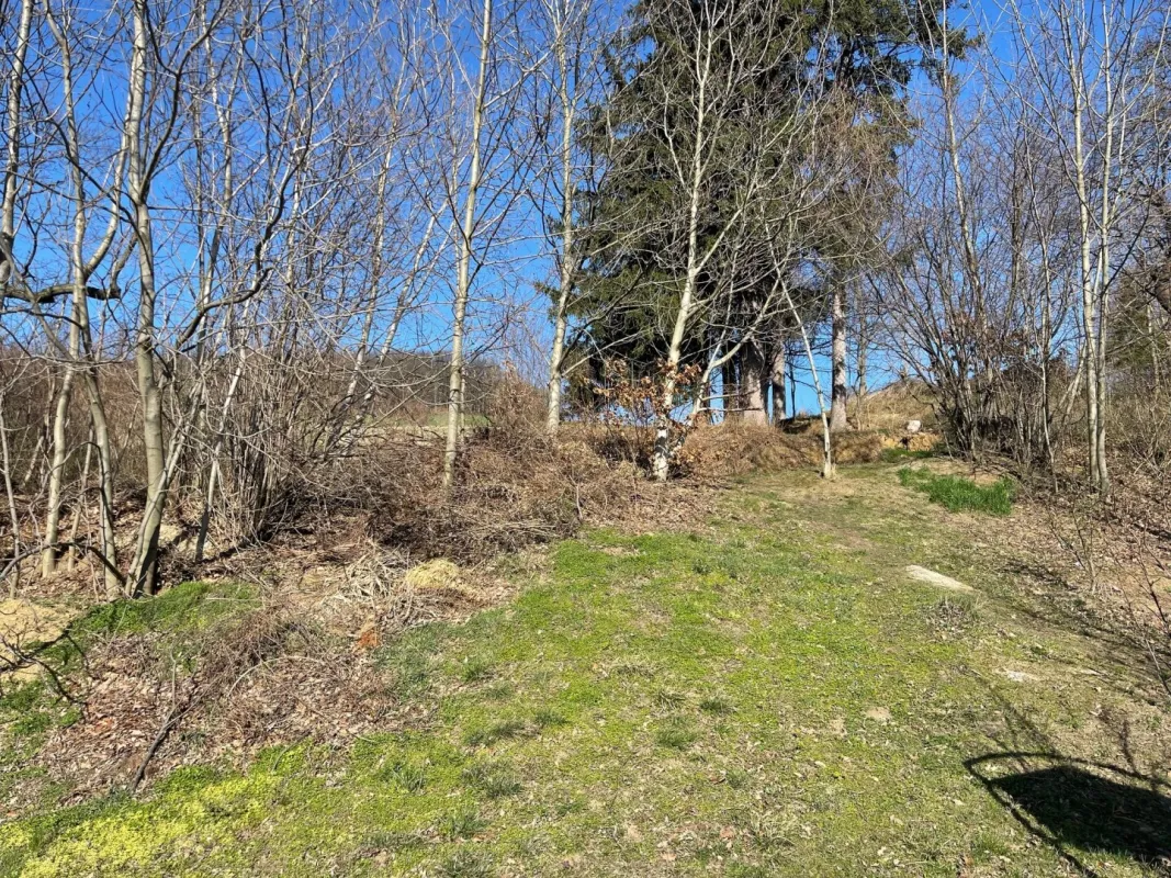 Traumhaftes Baugrundstück in Leitsberg: 582m² mit 7 Wohneinheiten, Terrassen und Garage zum Kauf! - Bild 1