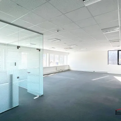 PROVISIONSFREI - Laßnitzhöhe - lichtdurchflutete Büroräumlichkeiten in der 1. Etage! - Bild 3