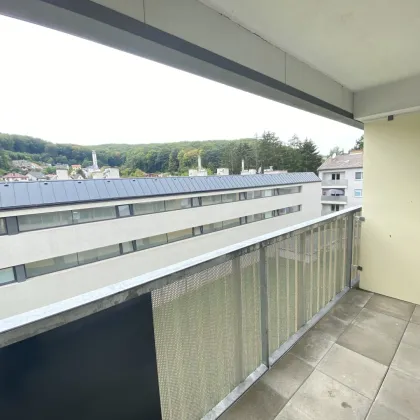 1-Zimmer Wohnung mit Loggia in Purkersdorf zu vermieten - Bild 2