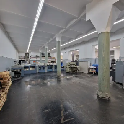 Halle | ca. 7m Raumhöhe - Bild 3
